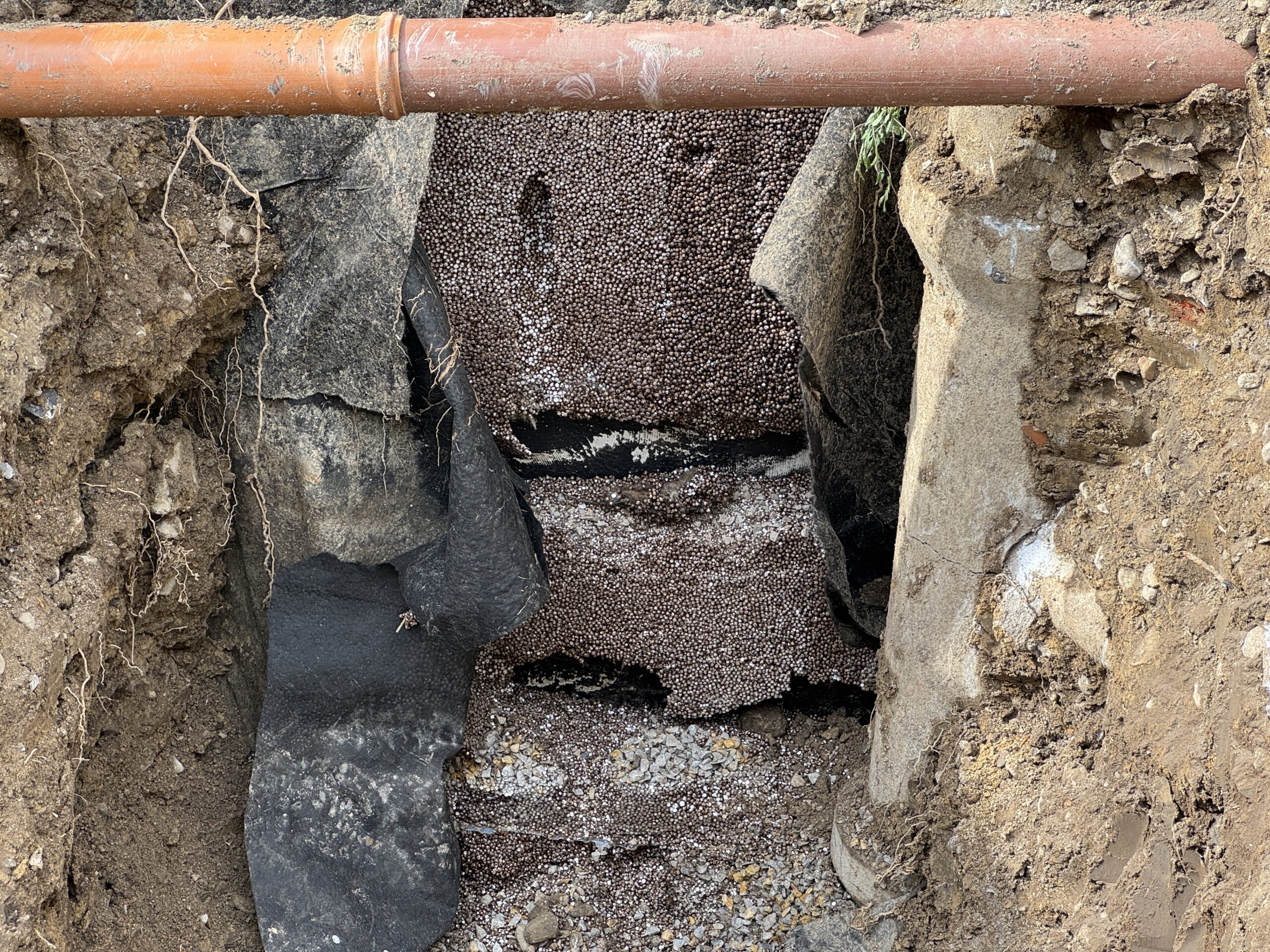 Når ens værste mareridt bliver virkelighed: Rotter i sengen